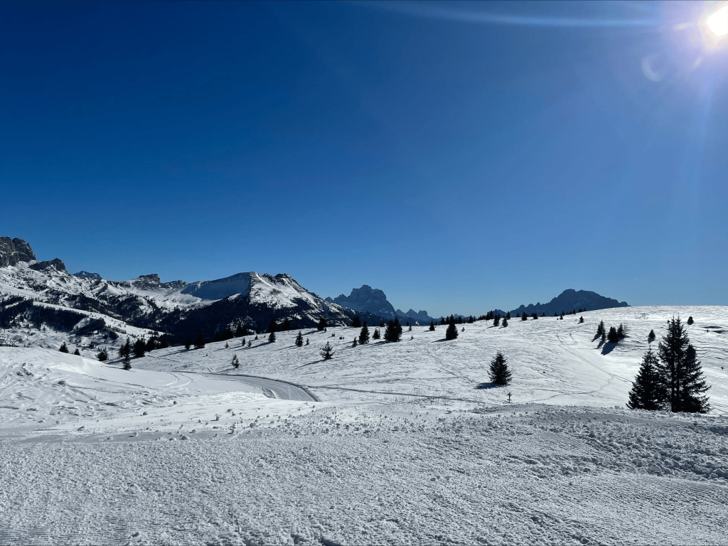 mountain views. Mountains covered in snow. Sun shining. Blue sky. Trees dotted sparsely